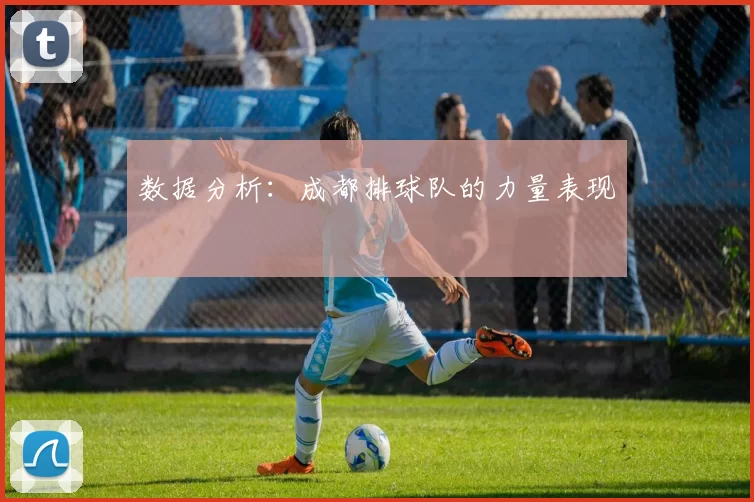 数据分析：成都排球队的力量表现