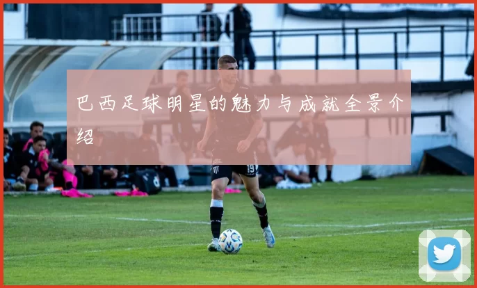 巴西足球明星的魅力与成就全景介绍