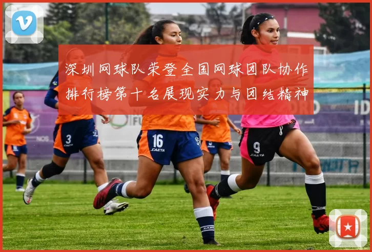 深圳网球队荣登全国网球团队协作排行榜第十名展现实力与团结精神