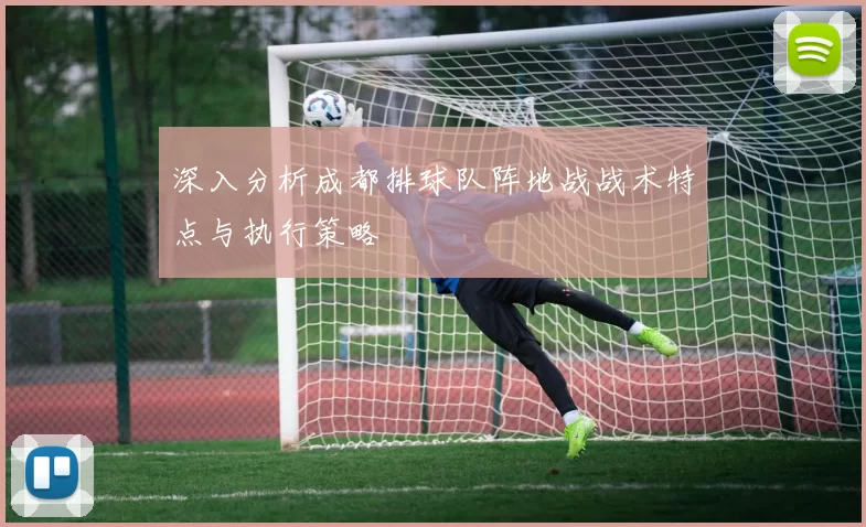 深入分析成都排球队阵地战战术特点与执行策略