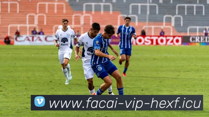 米兰体育平台生态图